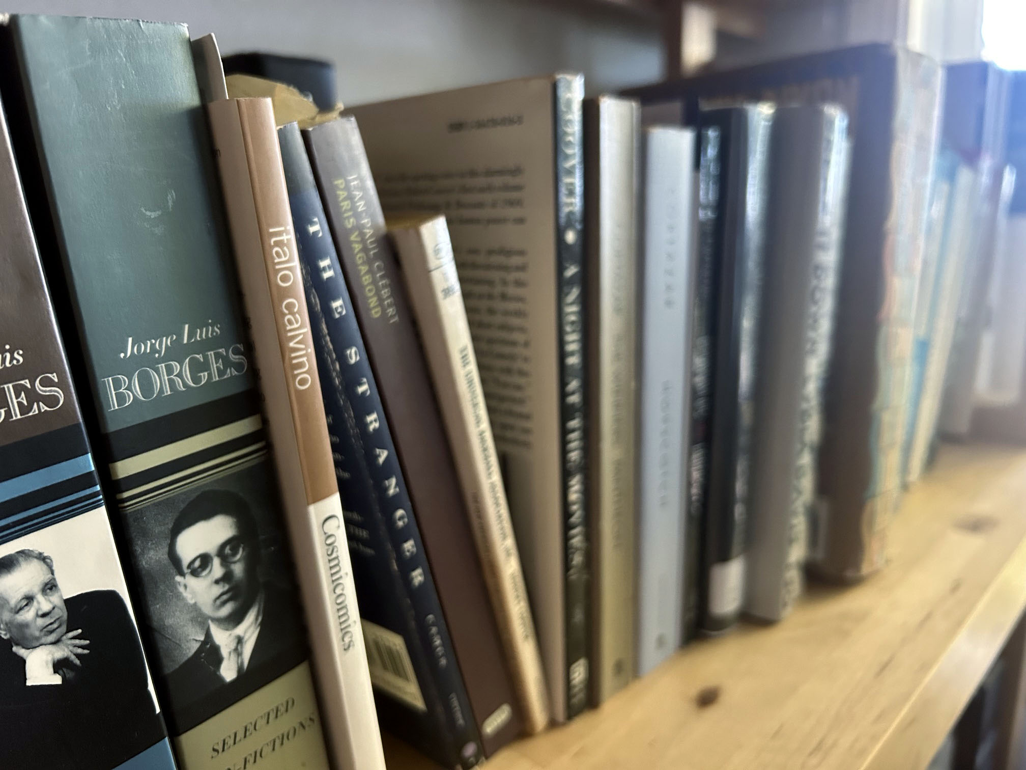 A shelf of literary fiction and poetry including Borges, Calvino, and other favorites
